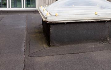 disadvantages of Newton On Ouse flat roofs