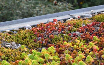 the cost of Newton On Ouse green roof installation