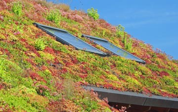 Newton On Ouse living roof systems